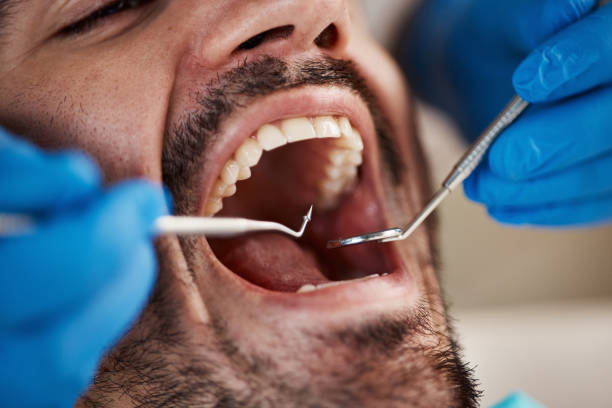 Best Weekend Emergency Dentist in Farmers Loop, AK